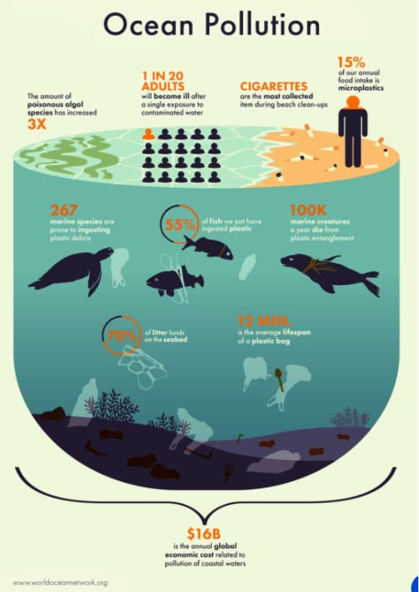pollution infographic